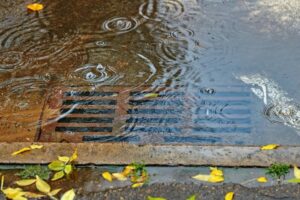 water pooling over blocked road drain due to fallen leaves