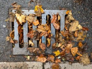 drain cover blocked with leaves