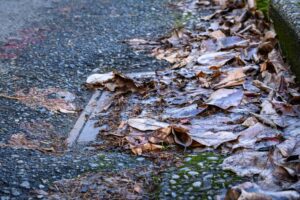 road drain cover blocked and covered in fallen leaves